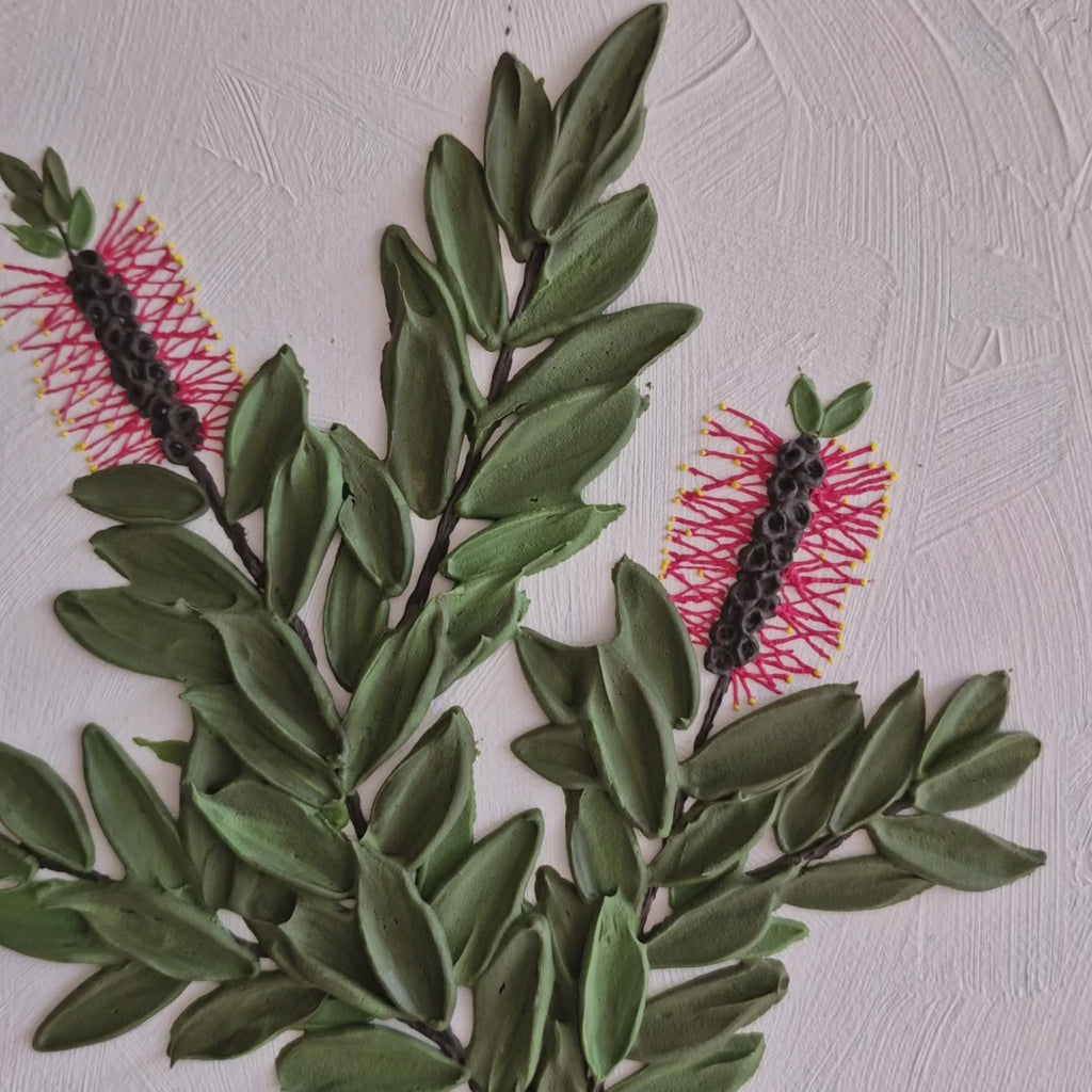 Autumn Callistemons