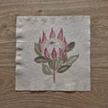 Protea