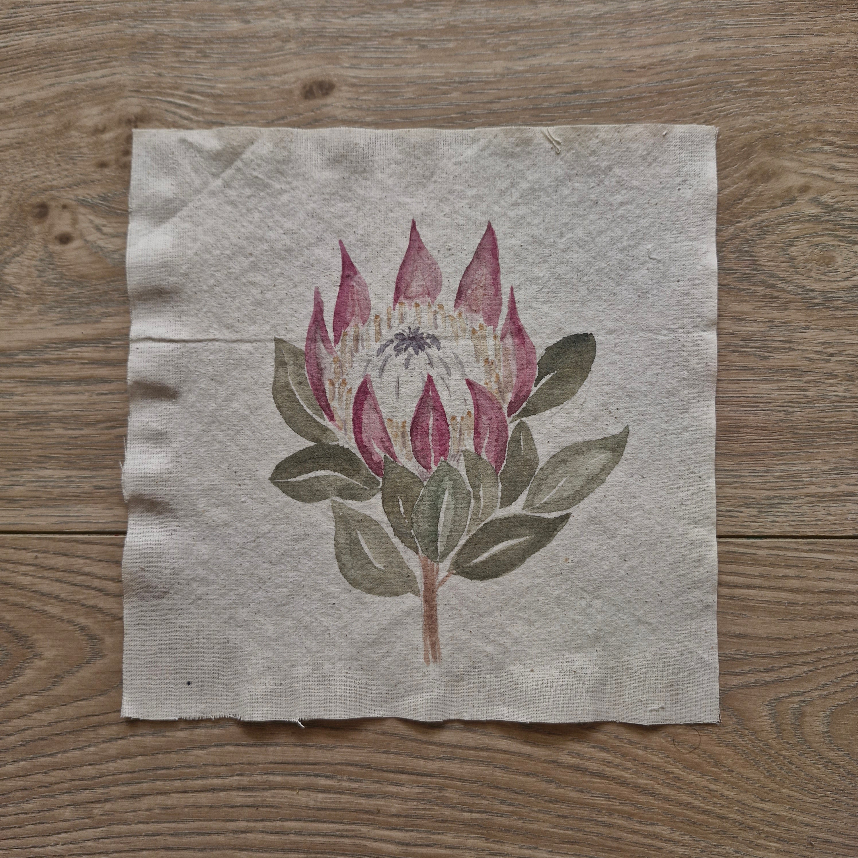 Protea
