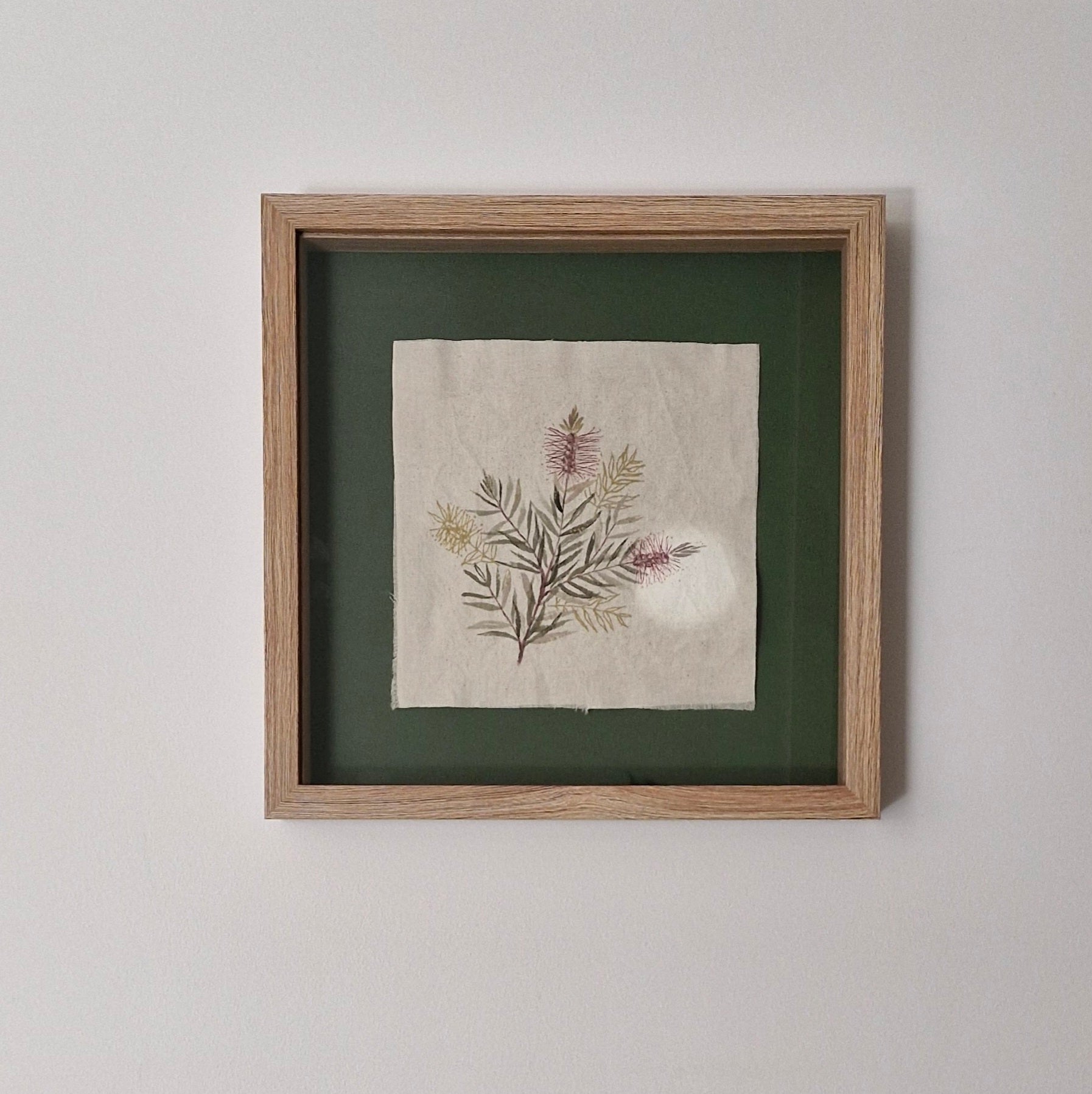 Callistemon