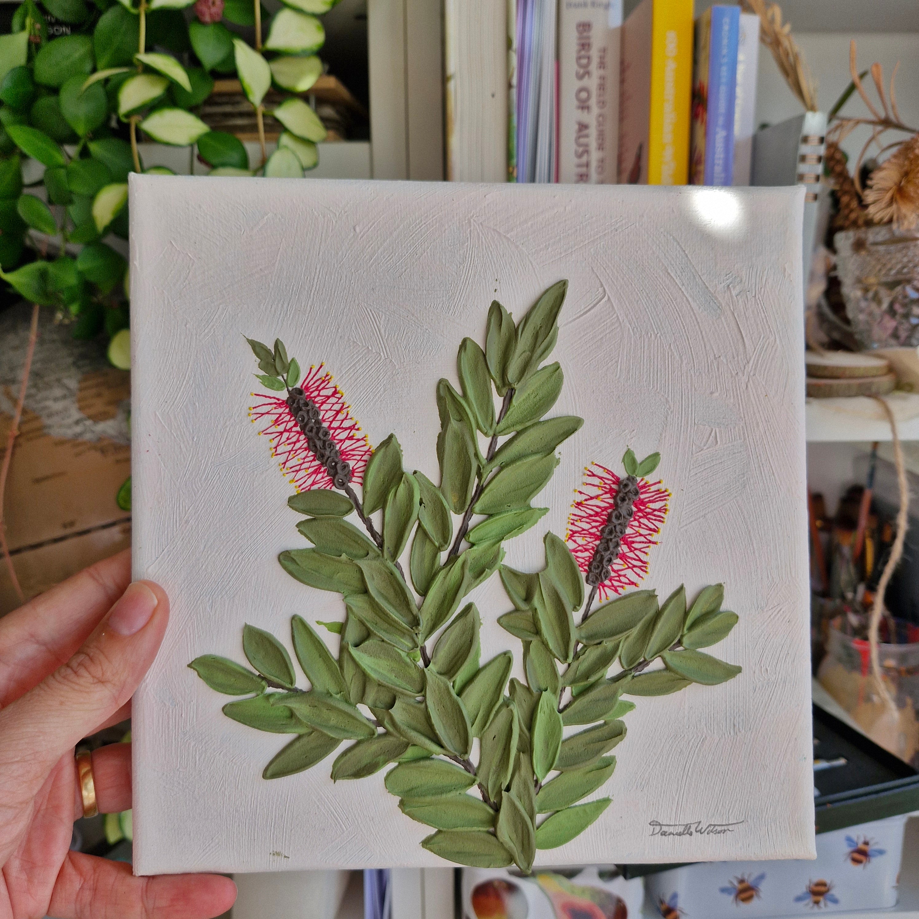 Autumn Callistemons